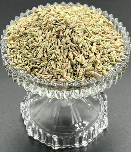 Fenchel / Fennel / Foeniculum vulgare - Image 2